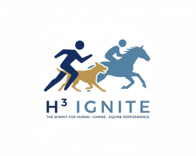 H3 IGNITE entry by speedcash