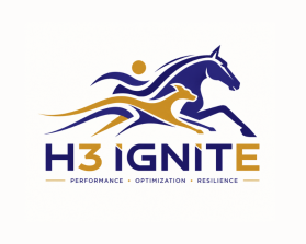 Winning entry: H3 IGNITE entry by MrAnsar