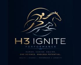 H3 IGNITE entry by Oussbak