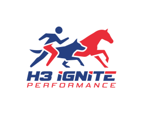 H3 IGNITE entry by PJRYNT