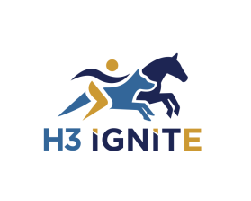 H3 IGNITE entry by inka07
