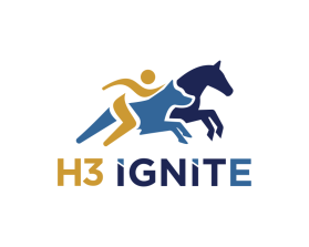 H3 IGNITE entry by inka07