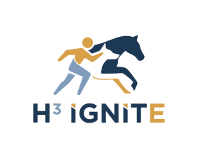 H3 IGNITE entry by mulia