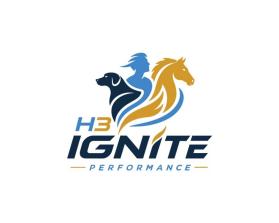 H3 IGNITE entry by Adriana_99