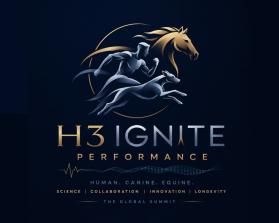 H3 IGNITE entry by Oussbak