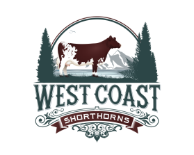 West Coast Shorthorns entry by pain2