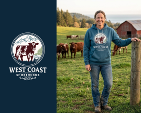 West Coast Shorthorns entry by PUJI RIYANTO