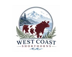 West Coast Shorthorns entry by Maaz Tahir