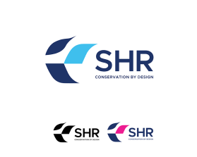 SHR entry by Mia Vučić