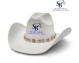 SB Equine entry by Anita99