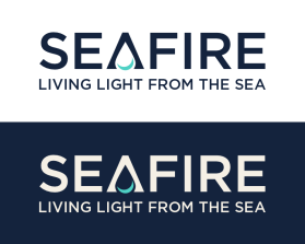 Seafire entry by mulia