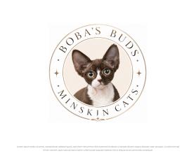 Boba's Buds Minskin Cats entry by FXF Creations