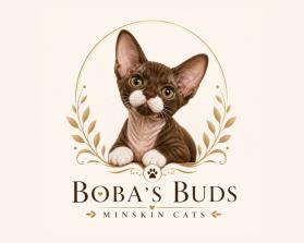 Boba's Buds Minskin Cats entry by Hishams1