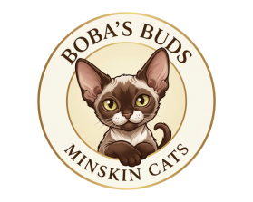 Boba's Buds Minskin Cats entry by Zavi