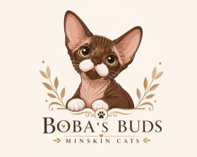 Boba's Buds Minskin Cats entry by Hishams1