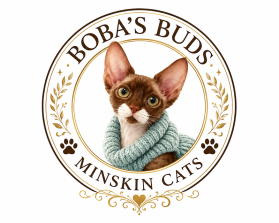 Boba's Buds Minskin Cats entry by dhonny