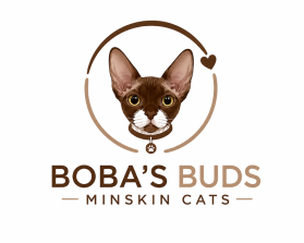 Boba's Buds Minskin Cats entry by dhonny