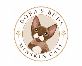 Boba's Buds Minskin Cats entry by Zavi