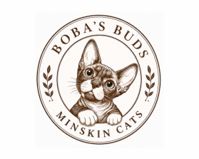 Boba's Buds Minskin Cats entry by Zavi