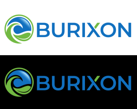 Burixon entry by twdesignstudio