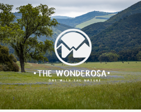 THE WANDEROSA entry by basicses