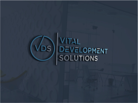 Vital Development Solutions entry by eli305