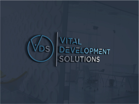 Vital Development Solutions entry by eli305