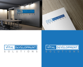 Vital Development Solutions entry by eli305