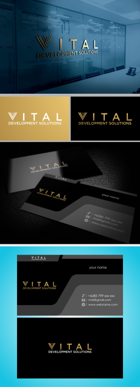 Vital Development Solutions entry by par