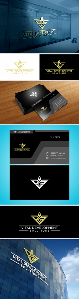 Vital Development Solutions entry by par