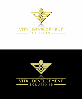 Vital Development Solutions entry by par