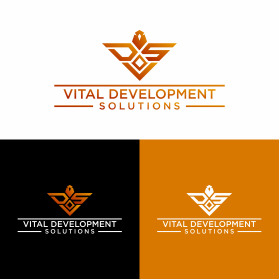 Vital Development Solutions entry by par