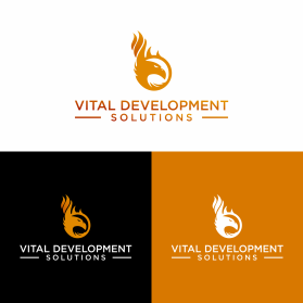 Vital Development Solutions entry by par