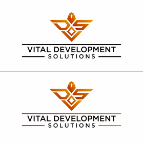 Vital Development Solutions entry by par