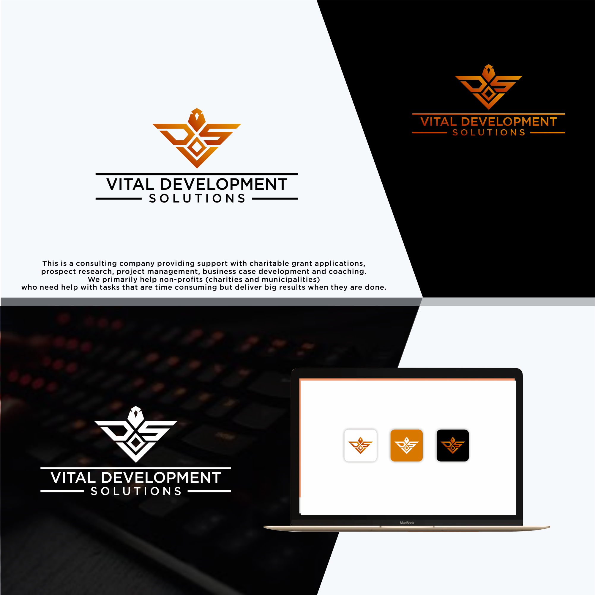 Logo Design for Vital Development Solutions