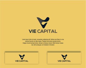 Vie Capital entry by Javier Studio