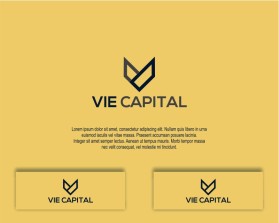 Vie Capital entry by Javier Studio