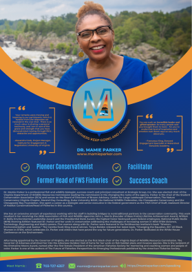 Mamie Parker entry by Pyramid Graphics