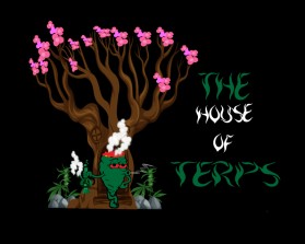 The House Of Terps entry by Colorsurf