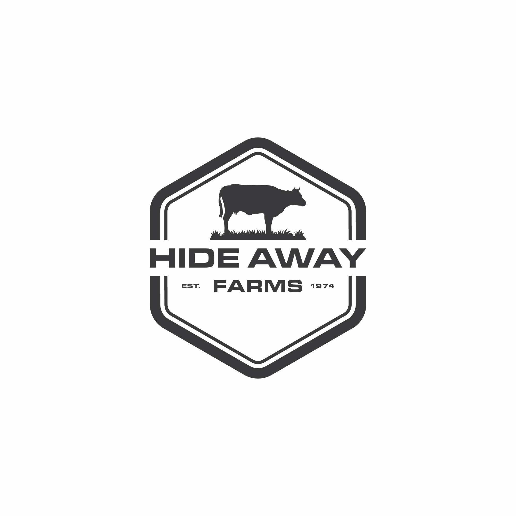 portfolio-img