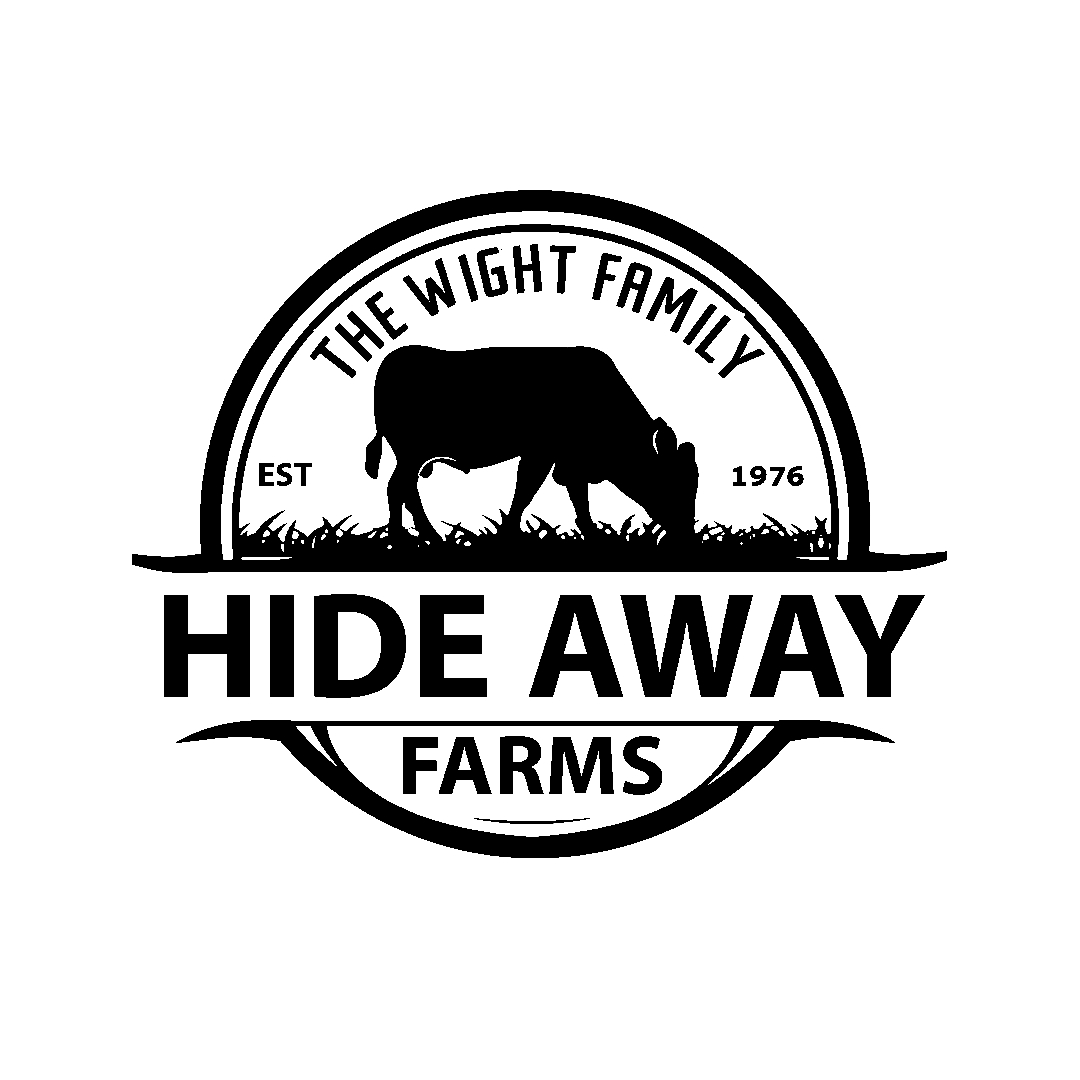 Cow Logo Design