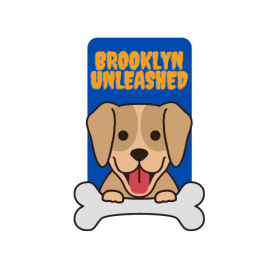 Brooklyn Unleashed entry by sundus_nsr
