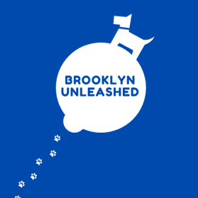 Brooklyn Unleashed entry by sundus_nsr