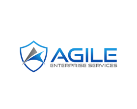Agile Enterprise Services entry by Ethan