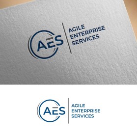 Agile Enterprise Services entry by sarkun