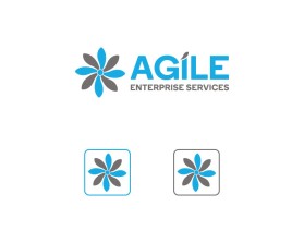 Agile Enterprise Services entry by nsdhyd