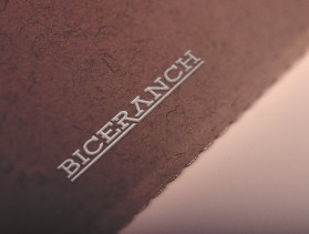 Logo Design entry 2294364 submitted by Logo Hunter