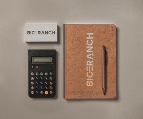 Bice Ranch  entry by Logo Hunter