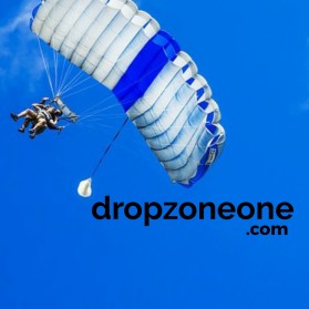 The website is dropzoneone.com, I am looking for a Designer that is passionate about their work, this logo means passion to a sport that I love. entry by Phambura