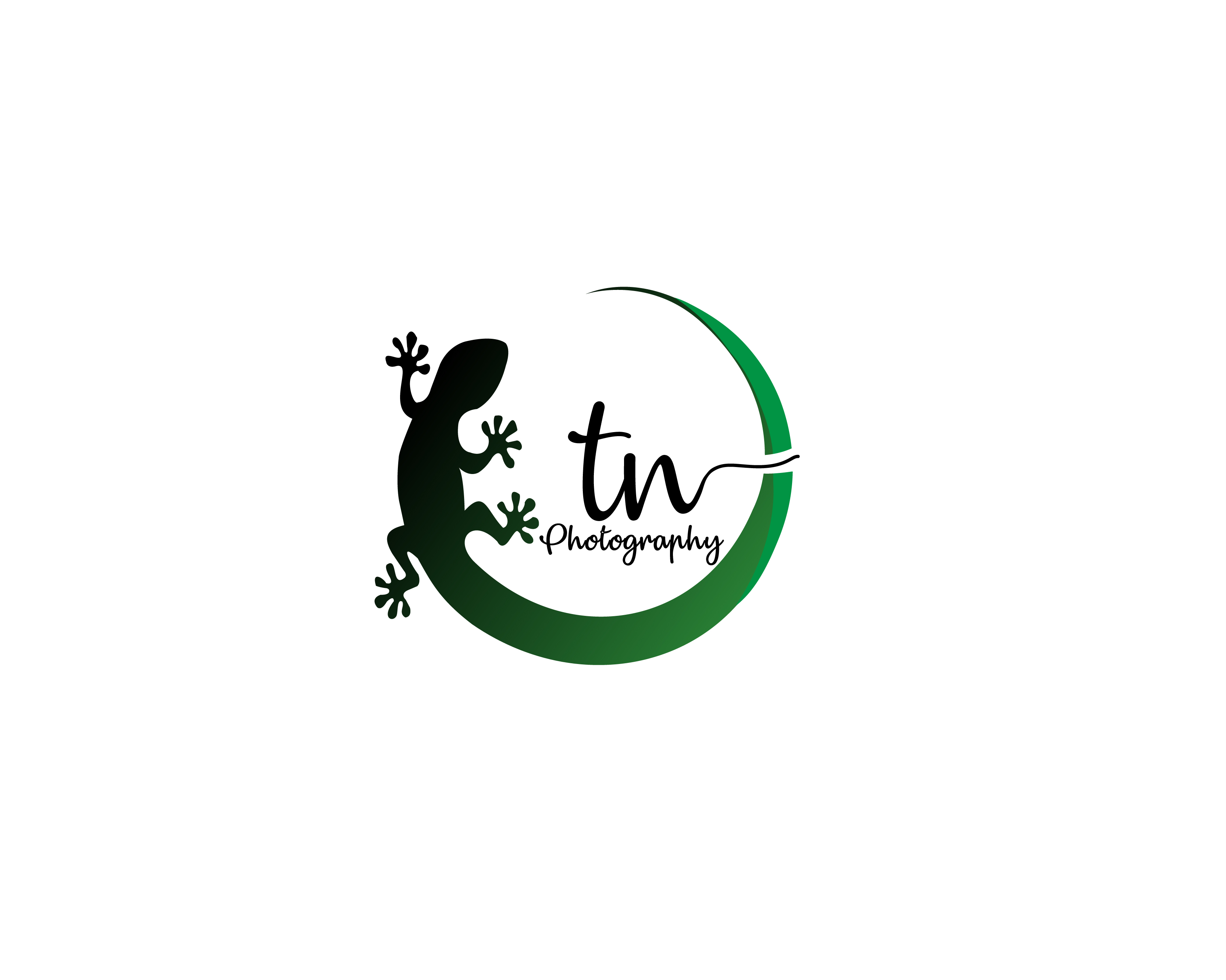 Logo Design for TN
